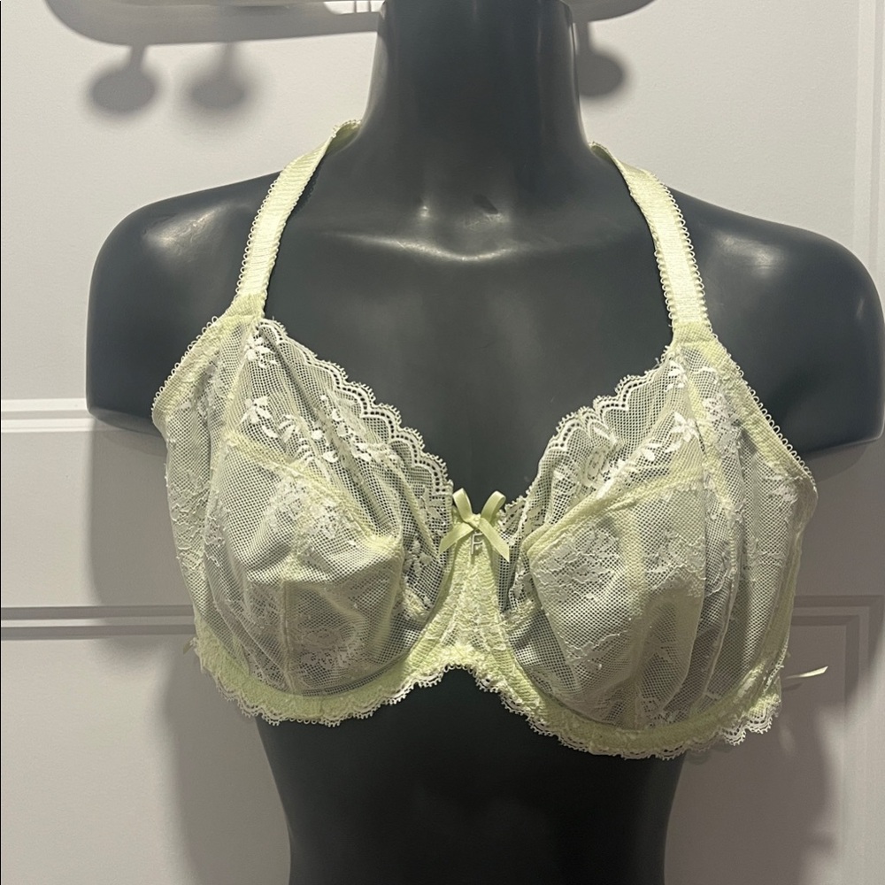 Elegant Lace Underwire Bra in light Green